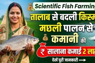 Scientific Fish Farming : तालाब से बदली किस्मत, मछली पालन से कामिनी की सालाना कमाई 2 लाख