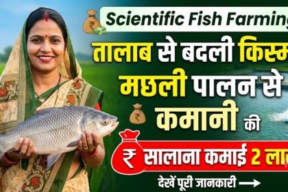 Scientific Fish Farming : तालाब से बदली किस्मत, मछली पालन से कामिनी की सालाना कमाई 2 लाख