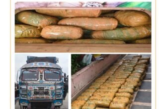 Ganja Smuggling Raipur : DRI के रडार पर रायपुर, 13 दिन में 500 किलो गांजा जब्त