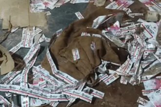 GST Gutkha Factory Raid : कुम्हारी में गुटखा फैक्ट्री पर छापा, दो मशीनें और 30 बोरा माल जब्त