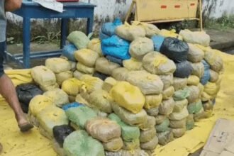 Manendragarh Ganja Smuggling Case