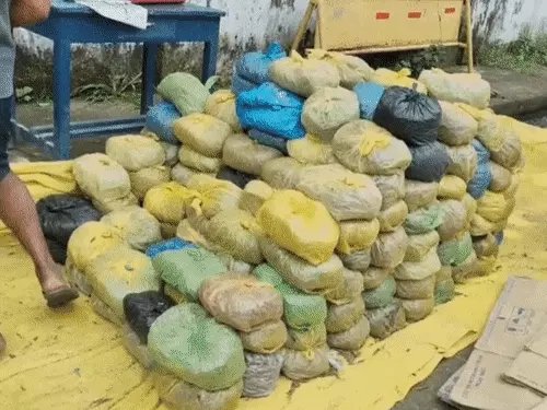 Manendragarh Ganja Smuggling Case