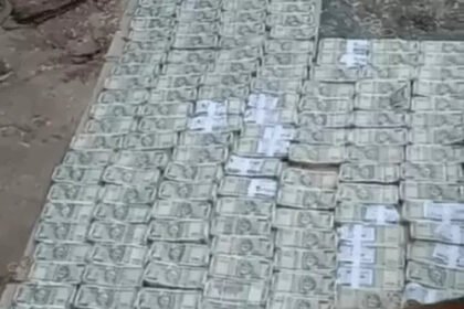 Khair Lakdi Smuggling : खैर लकड़ी तस्करी में 81 लाख कैश बरामद, फर्जी NOC से 23 टन लकड़ी का खेल