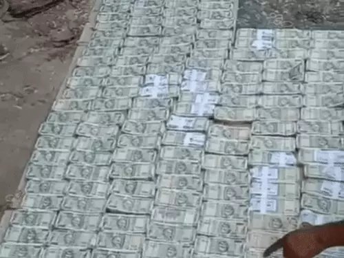 Khair Lakdi Smuggling : खैर लकड़ी तस्करी में 81 लाख कैश बरामद, फर्जी NOC से 23 टन लकड़ी का खेल