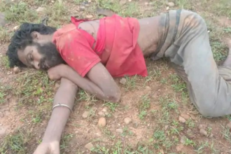 Elephant Attack Death