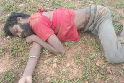 Elephant Attack Death
