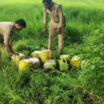 Illegal Liquor Korba