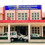 Kamdhenu University Recruitment : जांच पूरी होने से पहले भर्ती आगे बढ़ाने पर सवाल, राज्यपाल तक पहुंची शिकायत