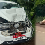 Simga Cow Accident