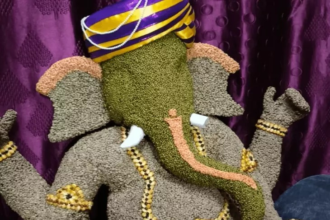 Raipur Unique Ganesh Idols