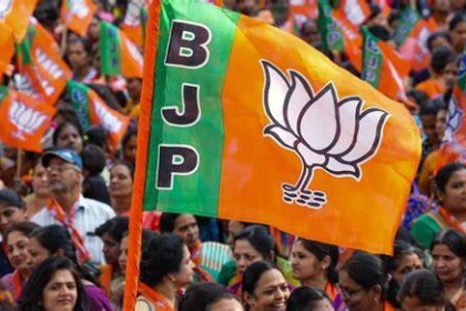 BJP Organization