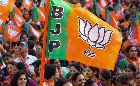 BJP Organization