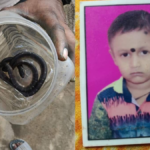 Bilaspur Snake Bite Death