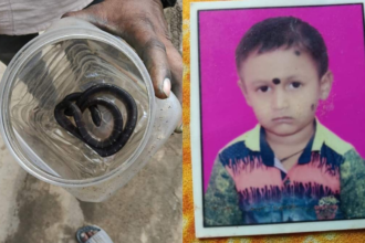 Bilaspur Snake Bite Death