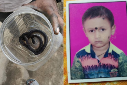 Bilaspur Snake Bite Death