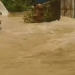 Bastar Rain