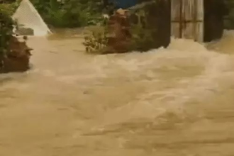 Bastar Rain