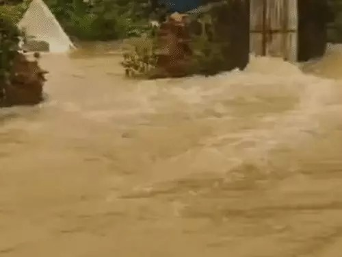 Bastar Rain
