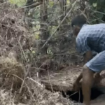 Korba Murder Case