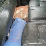 Raigarh Ganja Smuggling Case