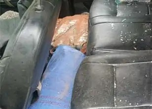 Raigarh Ganja Smuggling Case
