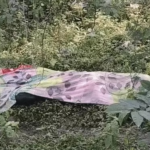 Bilaspur Knife Murder Case