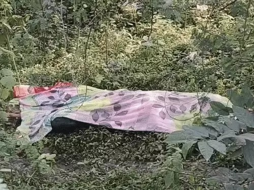 Bilaspur Knife Murder Case