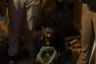 Ganja Seized