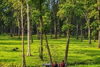 Achanakmar Tiger Reserve