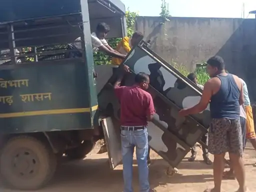 Wild Boar Attack Raigarh : रायगढ़ में जंगली सुअरों का आतंक, फसलों को नुकसान; महिला पर हमले के बाद लगाए पिंजरे