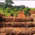 Bastar Water Conservation : बस्तर में गेबियन संरचना से थमा मिट्टी का कटाव, 1.42 लाख में बना जल संरक्षण मॉडल
