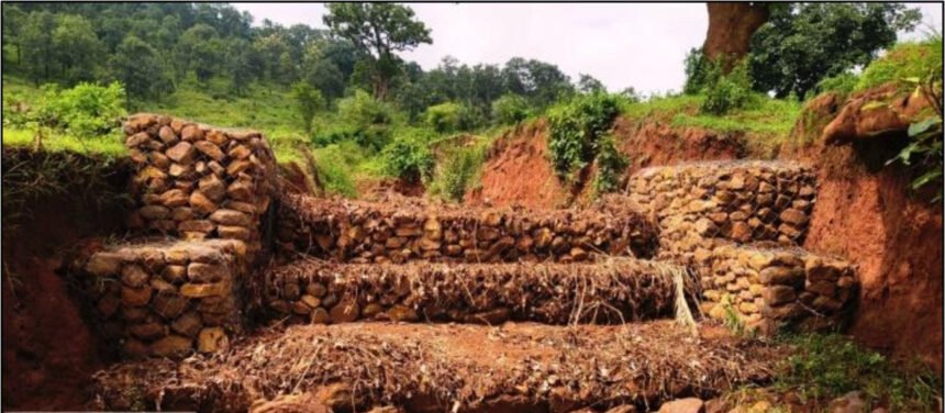 Bastar Water Conservation : बस्तर में गेबियन संरचना से थमा मिट्टी का कटाव, 1.42 लाख में बना जल संरक्षण मॉडल