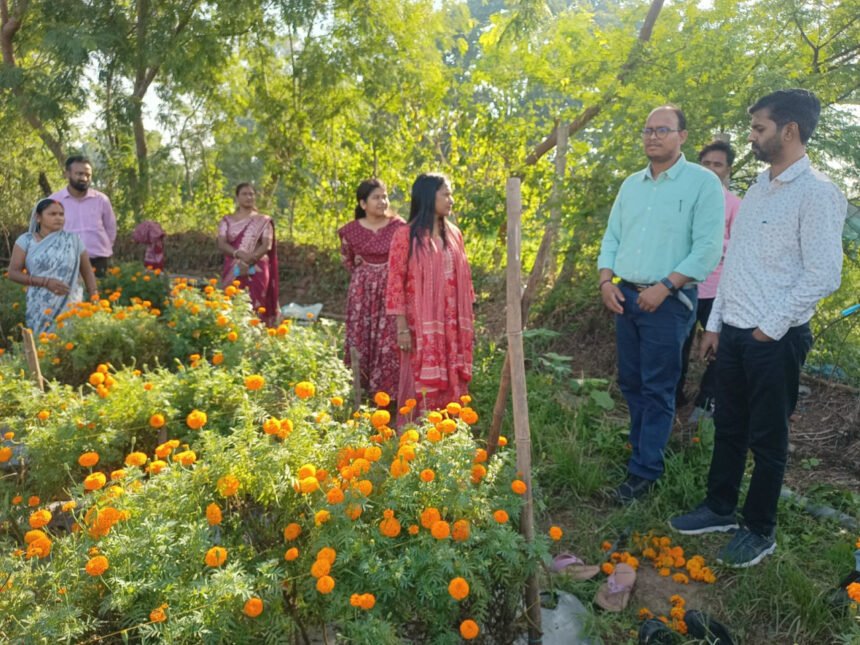 Bihan Didi Flower Farming : गुलाब-गेंदा की खेती से बदल रही बिहान दीदियों की जिंदगी, गांव में ही कमाई का रास्ता