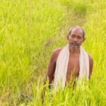 Krishak Unnati Yojana : 3 एकड़ में सुगंधित धान उगाकर शंकर प्रसाद को मिलेंगे 45 हजार रुपये