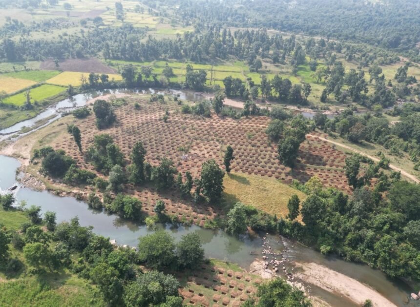 Dongri Tola Water Conservation : 3 हजार ट्रेंच से सहेजेंगे 24.30 लाख लीटर पानी, 250 परिवारों को मिलेगी राहत