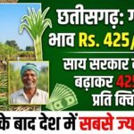 Chhattisgarh Sugarcane Price : साय सरकार ने गन्ने का भाव 355 से बढ़ाकर 425 रुपए किया, पंजाब के बाद देश में सबसे ज्यादा दर