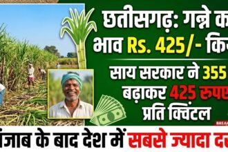 Chhattisgarh Sugarcane Price : साय सरकार ने गन्ने का भाव 355 से बढ़ाकर 425 रुपए किया, पंजाब के बाद देश में सबसे ज्यादा दर
