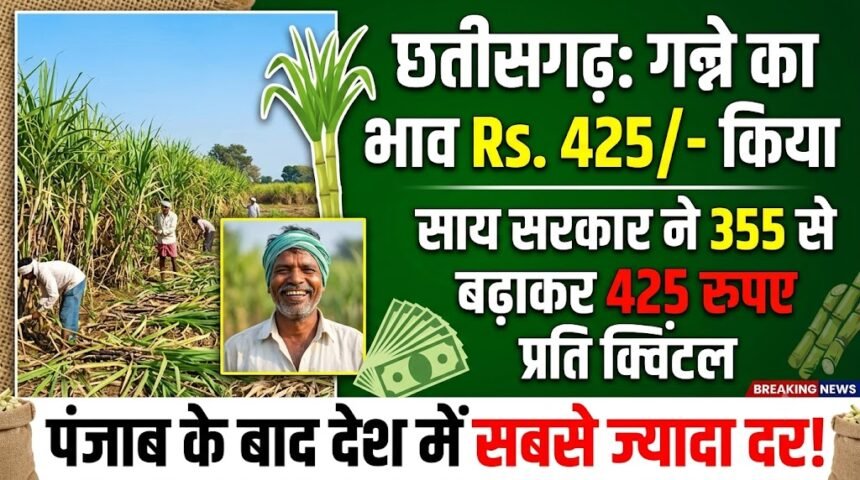 Chhattisgarh Sugarcane Price : साय सरकार ने गन्ने का भाव 355 से बढ़ाकर 425 रुपए किया, पंजाब के बाद देश में सबसे ज्यादा दर