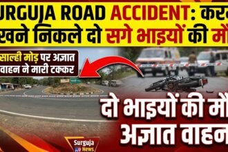 Surguja Road Accident : करमा देखने निकले दो सगे भाइयों की मौत, साल्ही मोड़ पर अज्ञात वाहन ने मारी टक्कर