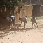 Government School