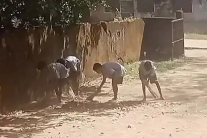 Government School