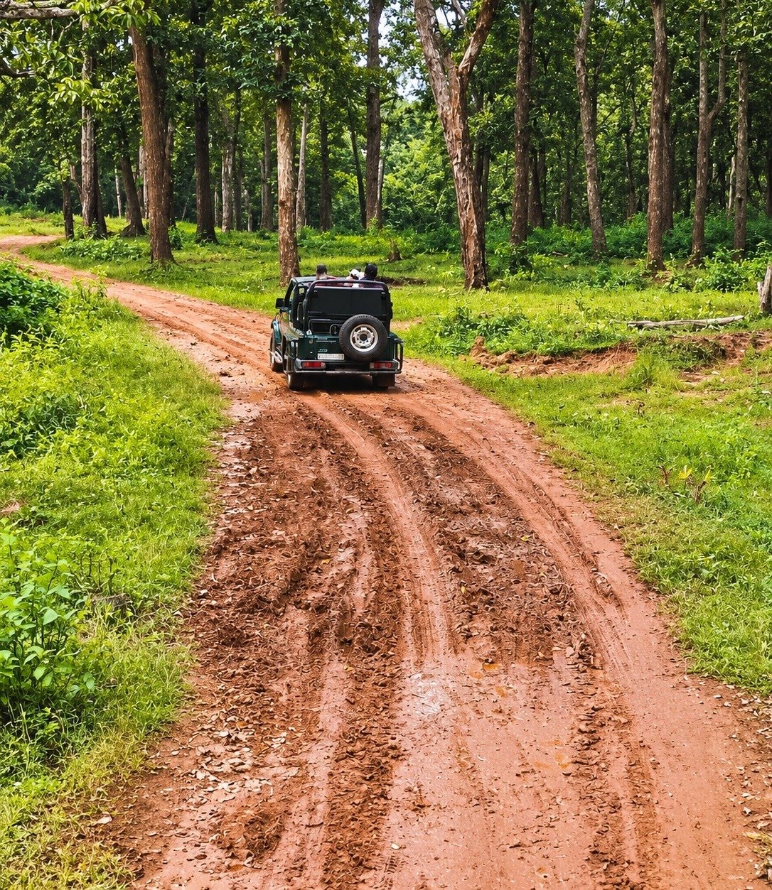 Achanakmar Tiger Reserve