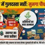 Dhamtari Munga Plant Campaign : धमतरी में अब स्वागत में नहीं मिलेगा गुलदस्ता, अतिथियों को भेंट किया जाएगा मुनगा का पौधा