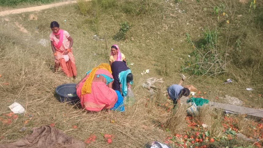 Ambikapur Vegetable Pickup Accident : दो पिकअप भिड़ीं, ट्रे समेत सब्जियां लूट ले गए ग्रामीण