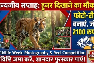 Wildlife Week Photography Competition : वन्यजीव सप्ताह में हुनर दिखाने का मौका, फोटो-रील को मिलेंगे 2100 रुपए तक