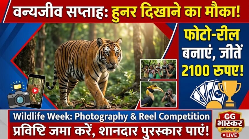 Wildlife Week Photography Competition : वन्यजीव सप्ताह में हुनर दिखाने का मौका, फोटो-रील को मिलेंगे 2100 रुपए तक