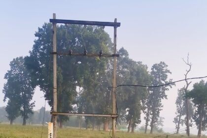 Surguja Transformer Chori : चालू ट्रांसफार्मर चोरी, बंच केबल भी काट ले गए चोर; बिजली कंपनी को 10 लाख का नुकसान
