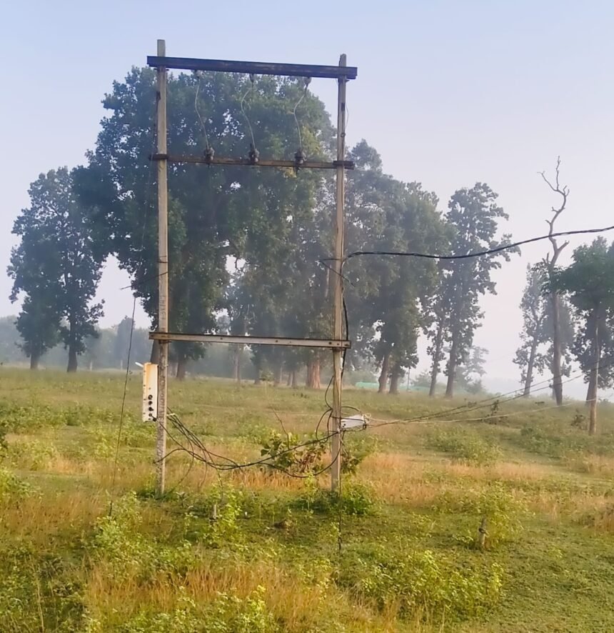 Surguja Transformer Chori : चालू ट्रांसफार्मर चोरी, बंच केबल भी काट ले गए चोर; बिजली कंपनी को 10 लाख का नुकसान