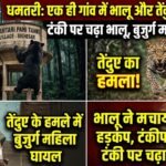Dhamtari Bear Leopard Attack : एक ही गांव में भालू और तेंदुए की दस्तक, टंकी पर चढ़ा भालू, तेंदुए के हमले में बुजुर्ग महिला घायल
