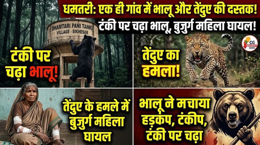 Dhamtari Bear Leopard Attack : एक ही गांव में भालू और तेंदुए की दस्तक, टंकी पर चढ़ा भालू, तेंदुए के हमले में बुजुर्ग महिला घायल